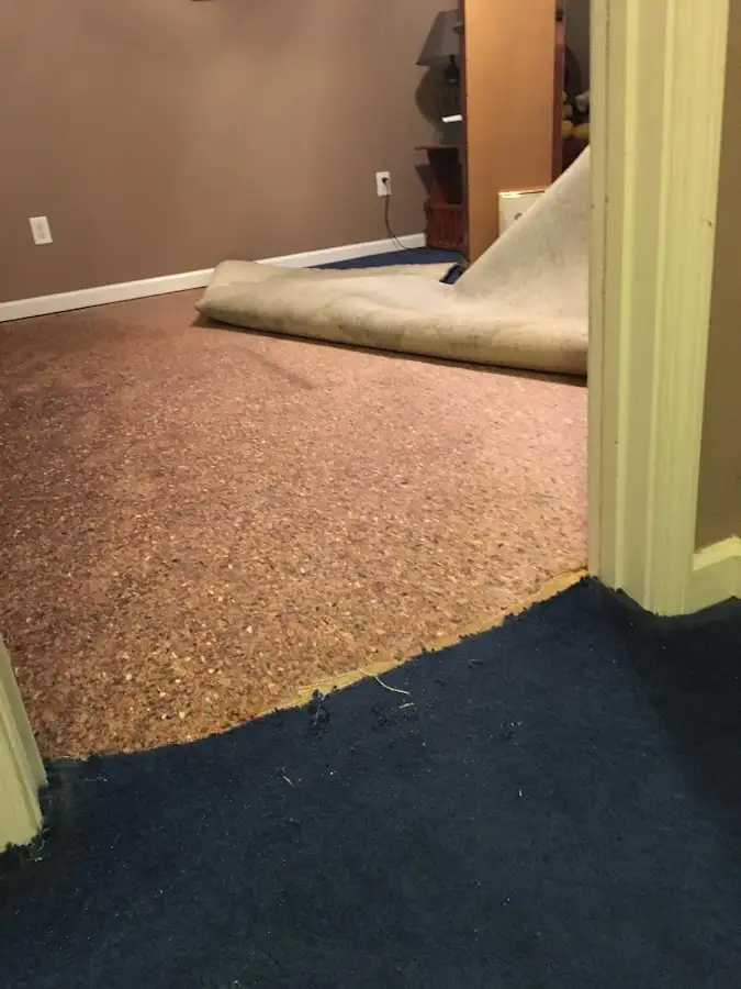 Carpet pad removal revealing water damage during Drying & Dehumidification in St. Augustine Beach