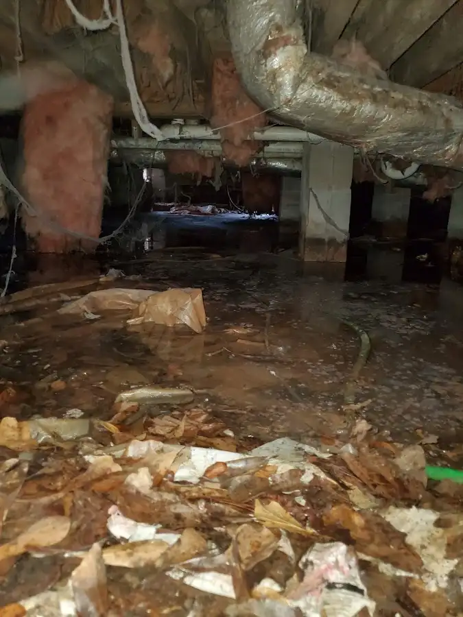 Crawl space flood assessment for Leak Detection & Repair in St. Augustine Beach